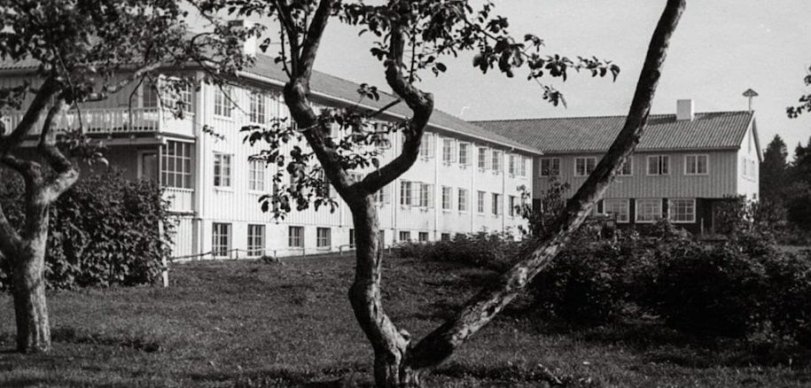 La maison aux nouveaux-nés", d'Adriana Allegri